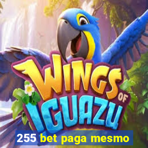 255 bet paga mesmo